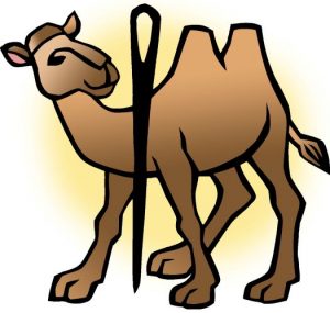 camel needle