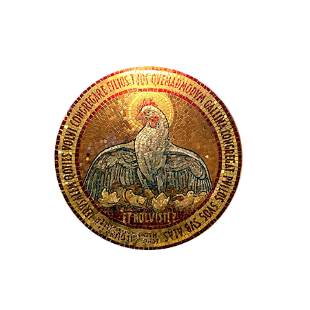 dominus coin