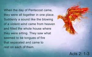Pentecost Red Dove Acts