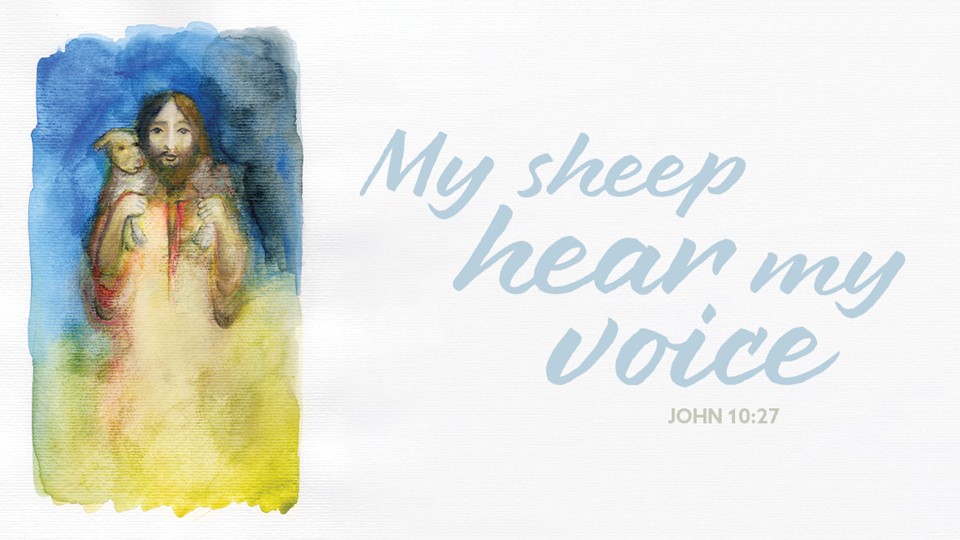 John 10:27