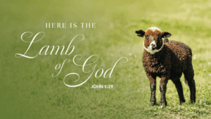 Lamb of God John Verse