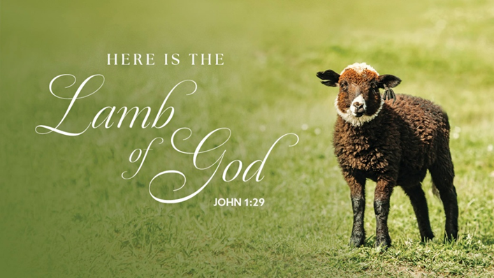 Lamb of God John Verse