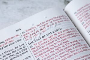 bible verse about salt
